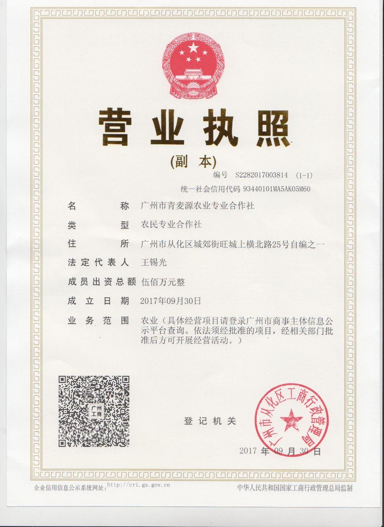 榮譽資質(zhì)
